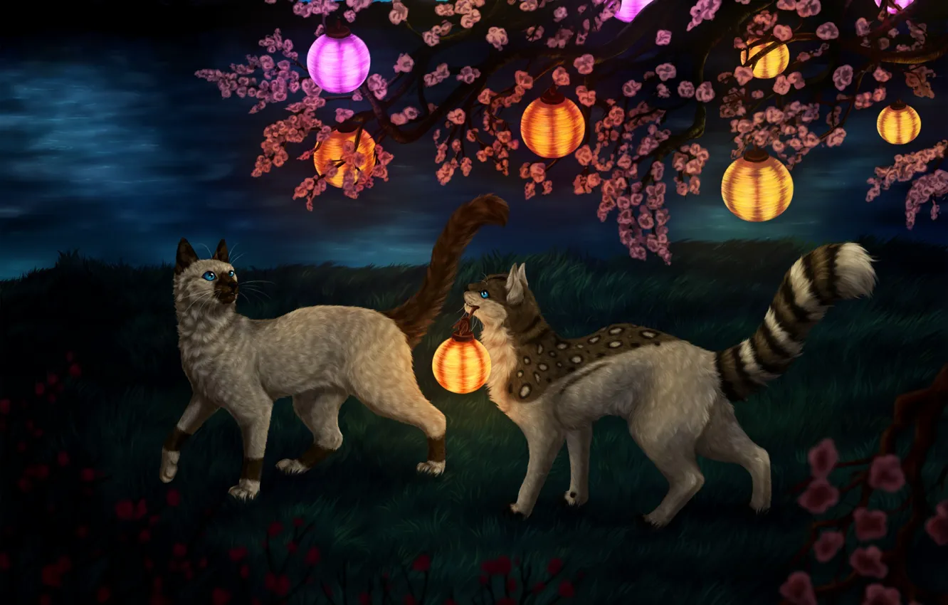 Фото обои кошки, ночь, природа, фэнтези, фонарики, цветущая вишня, by Vialir