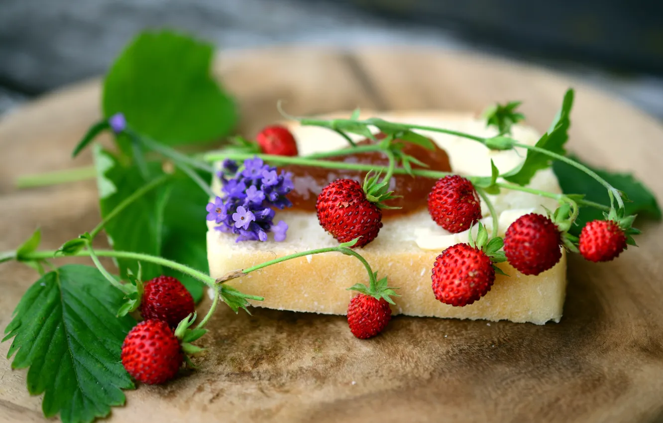 Фото обои лето, ягоды, земляника, хлеб, бутерброд, веточки, варенье