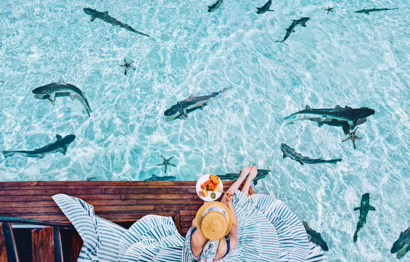 Фото обои вода, девушка, настроение, океан, ситуация, завтрак, платье, шляпка