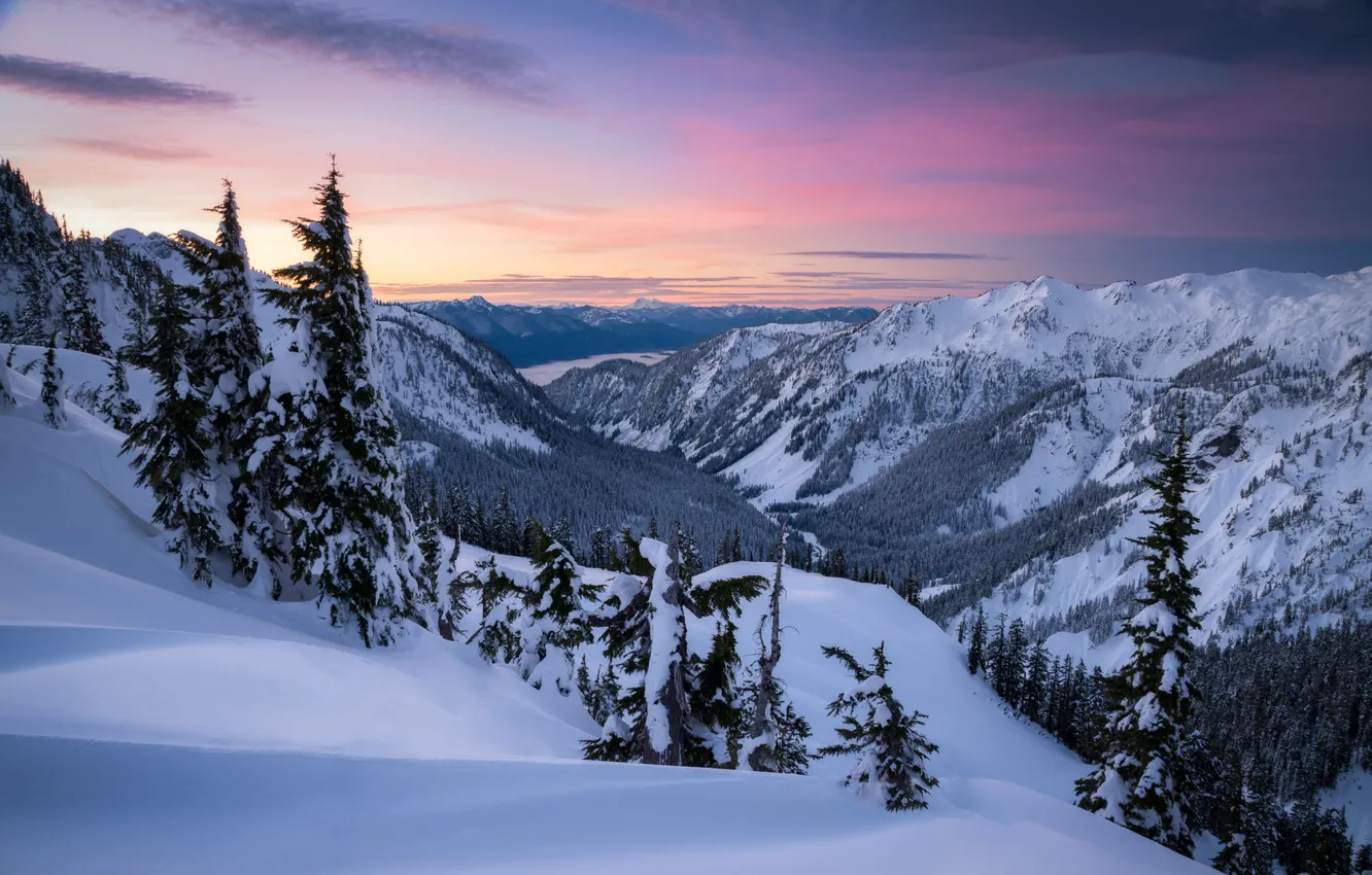 Фото обои зима, снег, деревья, горы, рассвет, долина, сугробы, штат Вашингтон