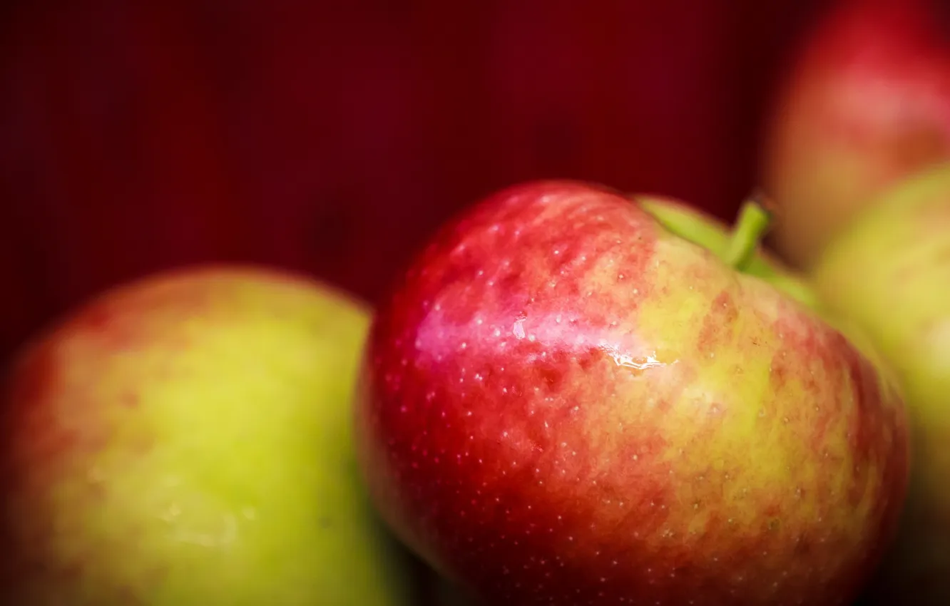 Фото обои макро, еда, Apples