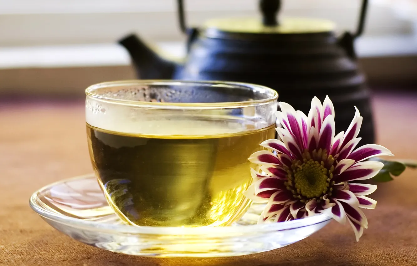 Фото обои цветок, зеленый, чай, чайник, чашка, блюдце