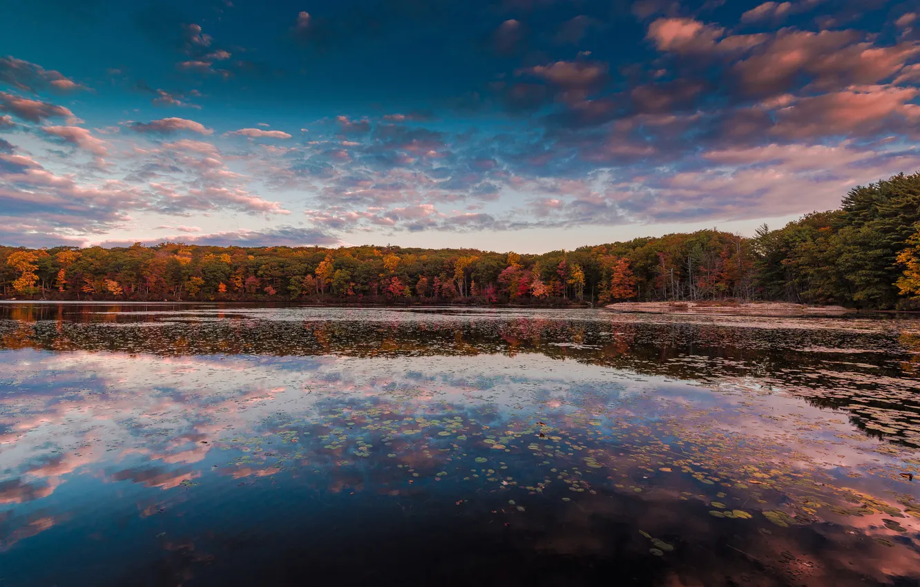 Фото обои осень, небо, вода, облака, отражения, деревья, Нью Йорк, Harriman State Park