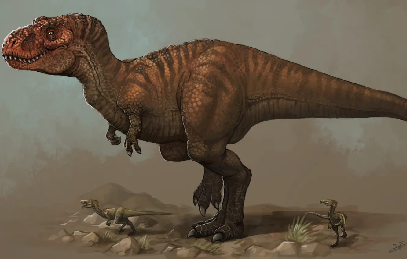 Фото обои Животные, Фантастика, Тираннозавр, Древние, Tyrannosaurus, Динозавры