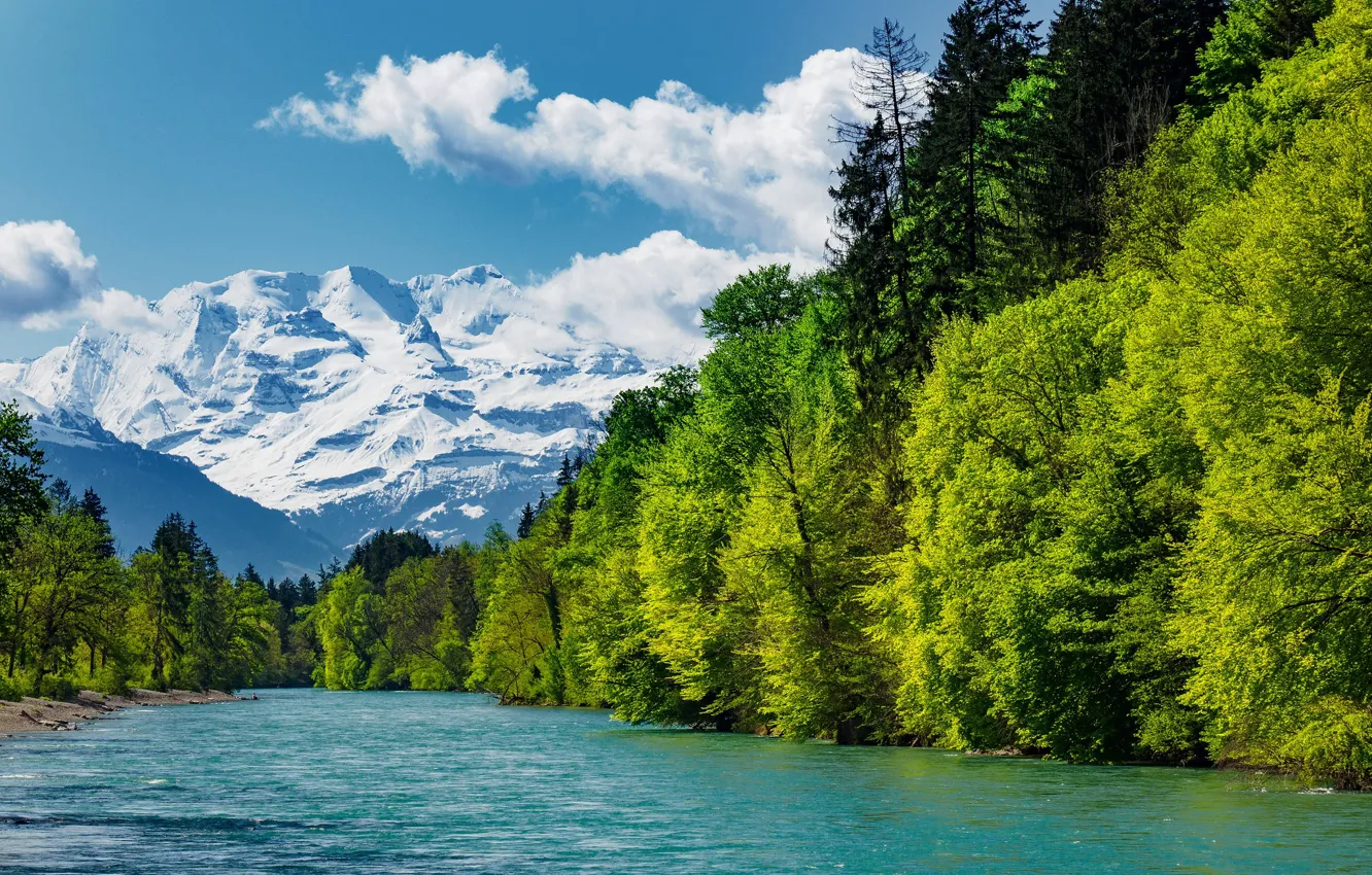 Фото обои зелень, лес, небо, солнце, облака, деревья, горы, река