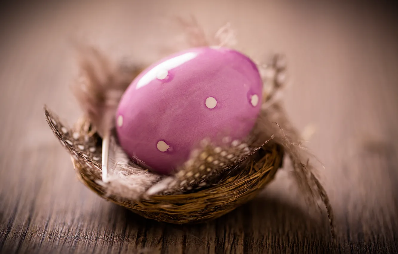 Фото обои яйца, Пасха, пасхальные яйца, easter, happy easter