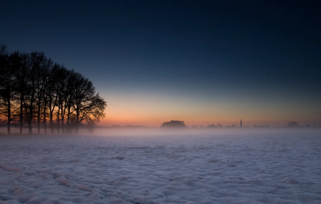 Фото обои зима, снег, деревья, пейзажи, туманы дерево