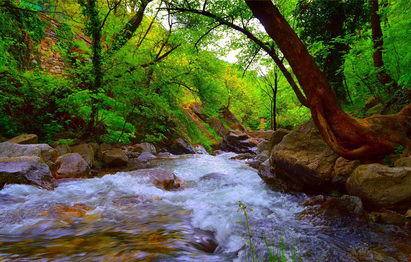 Фото обои Природа, Весна, Лес, Камни, Nature, Речка, Spring, River