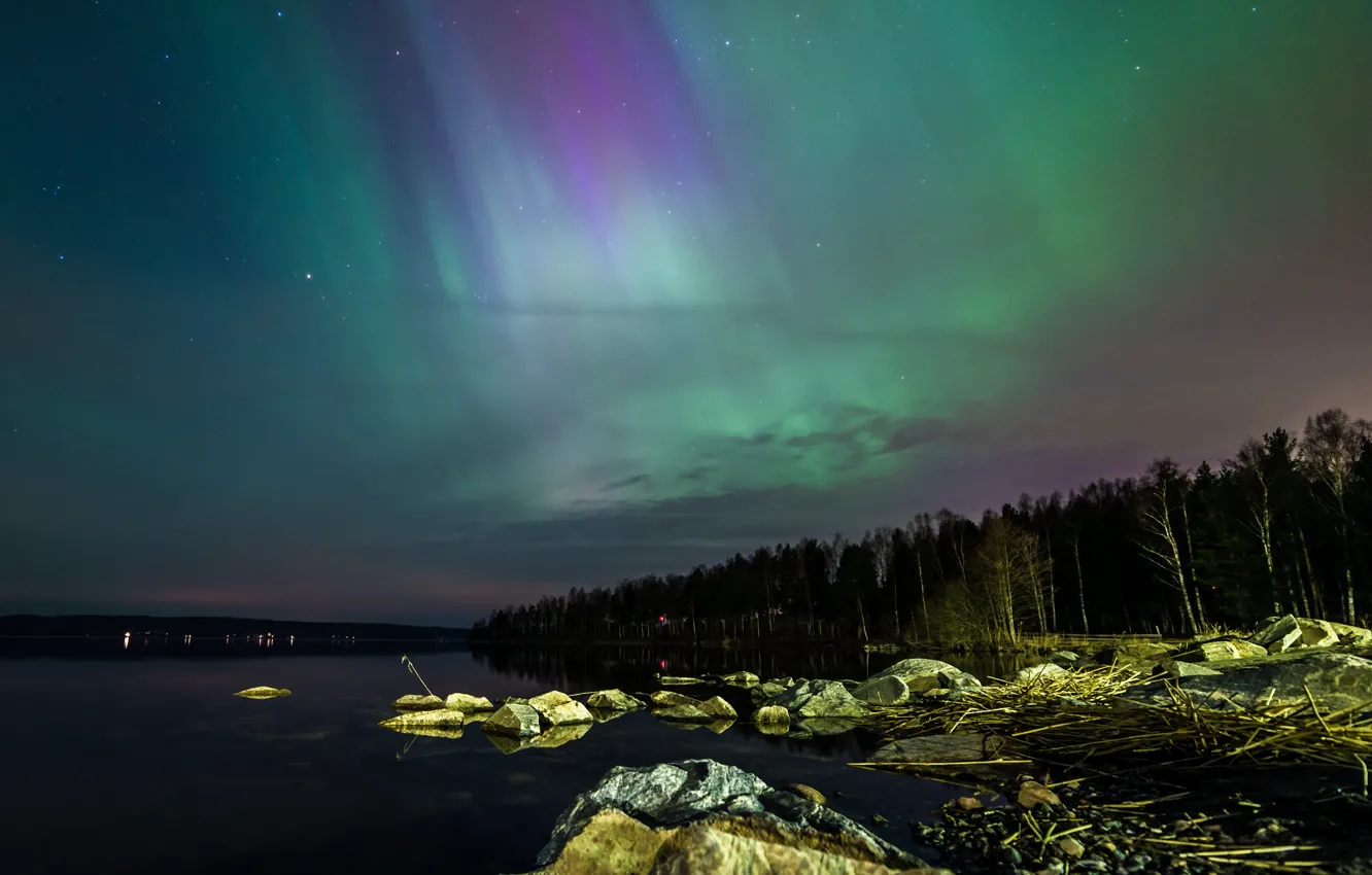 Фото обои небо, звезды, деревья, камни, северное сияние, Швеция