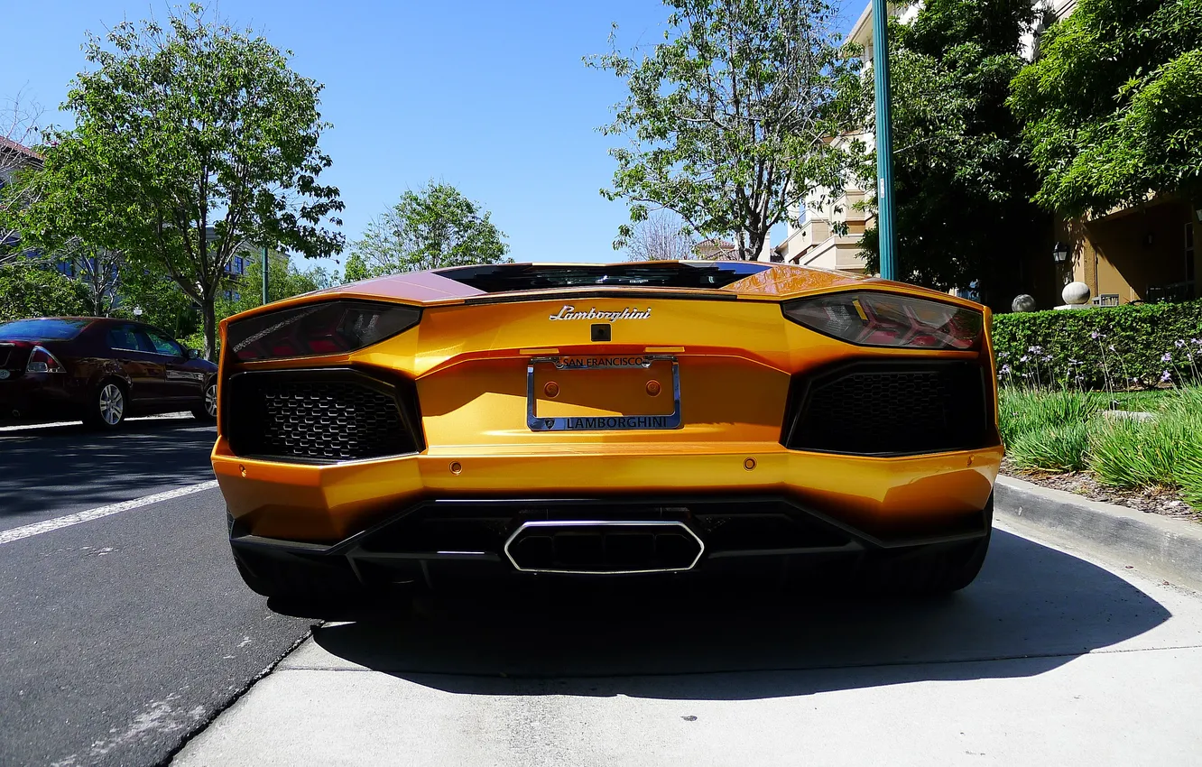 Фото обои деревья, улица, lamborghini, yellow, задок, aventador, lp700-4, ламборгини