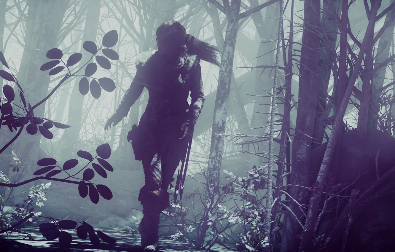 Фото обои Tomb Raider, girl, game, woman, Lara Croft, vegetation, Lara Croft Rise Of The Tomb Raider