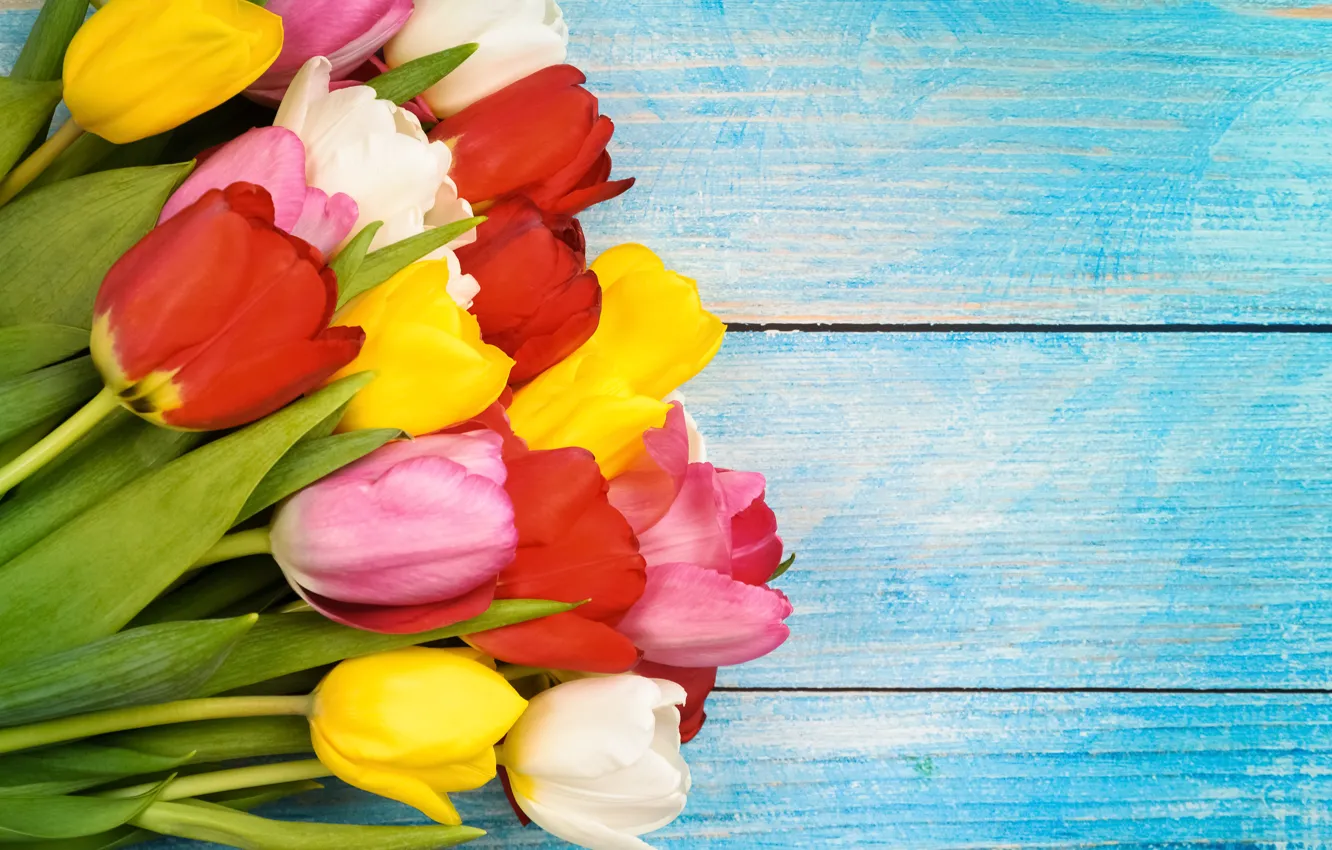 Фото обои цветы, colorful, тюльпаны, wood, flowers, tulips, spring