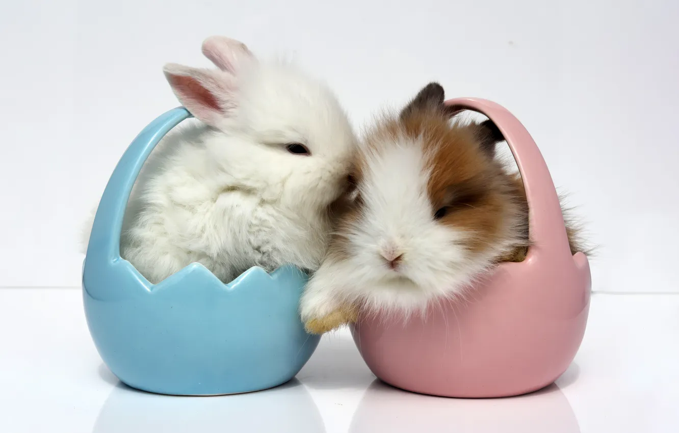 Фото обои Fluffy, Easter background, Easter bunny
