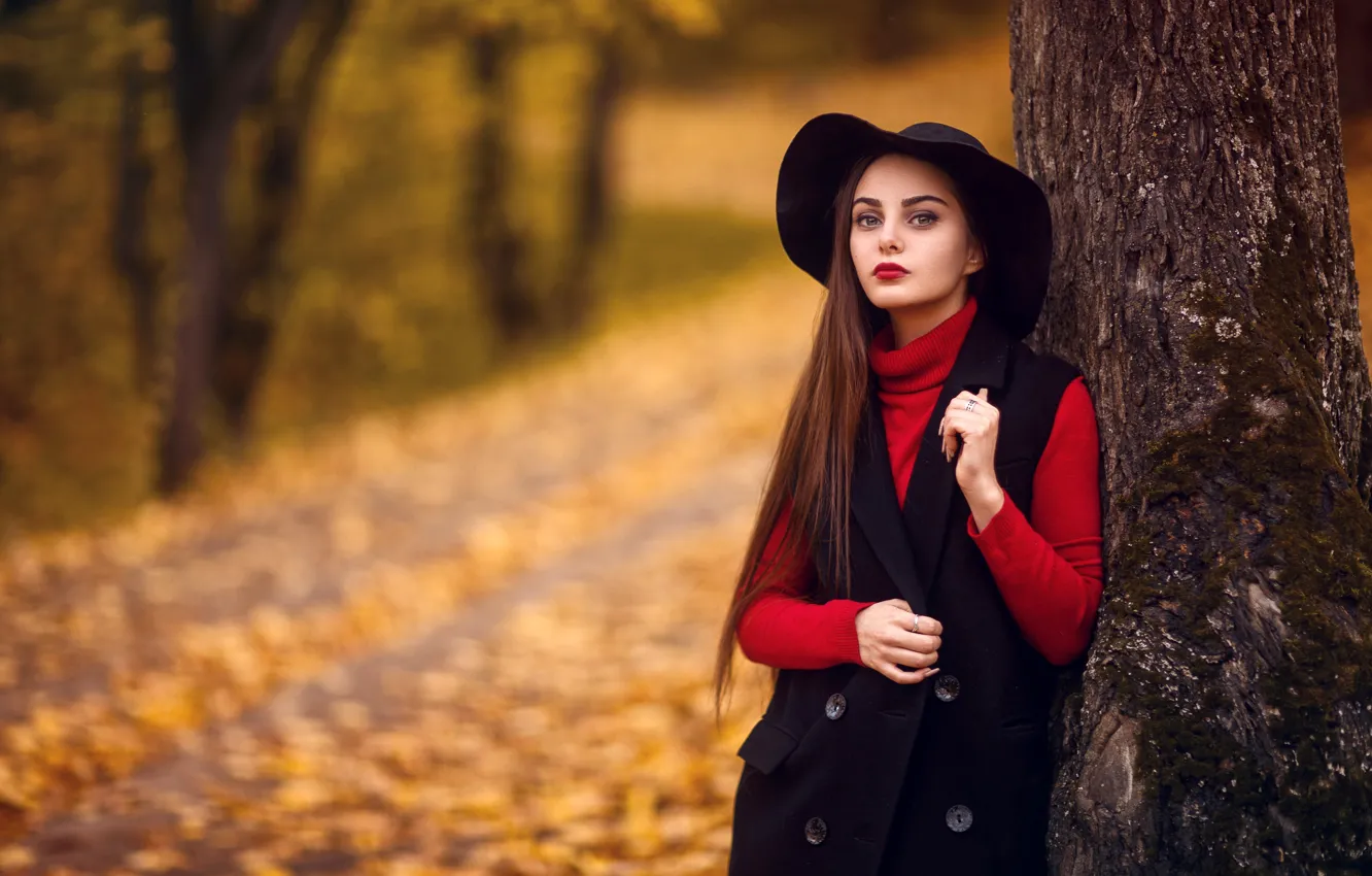 Фото обои осень, взгляд, листья, деревья, поза, парк, модель, портрет