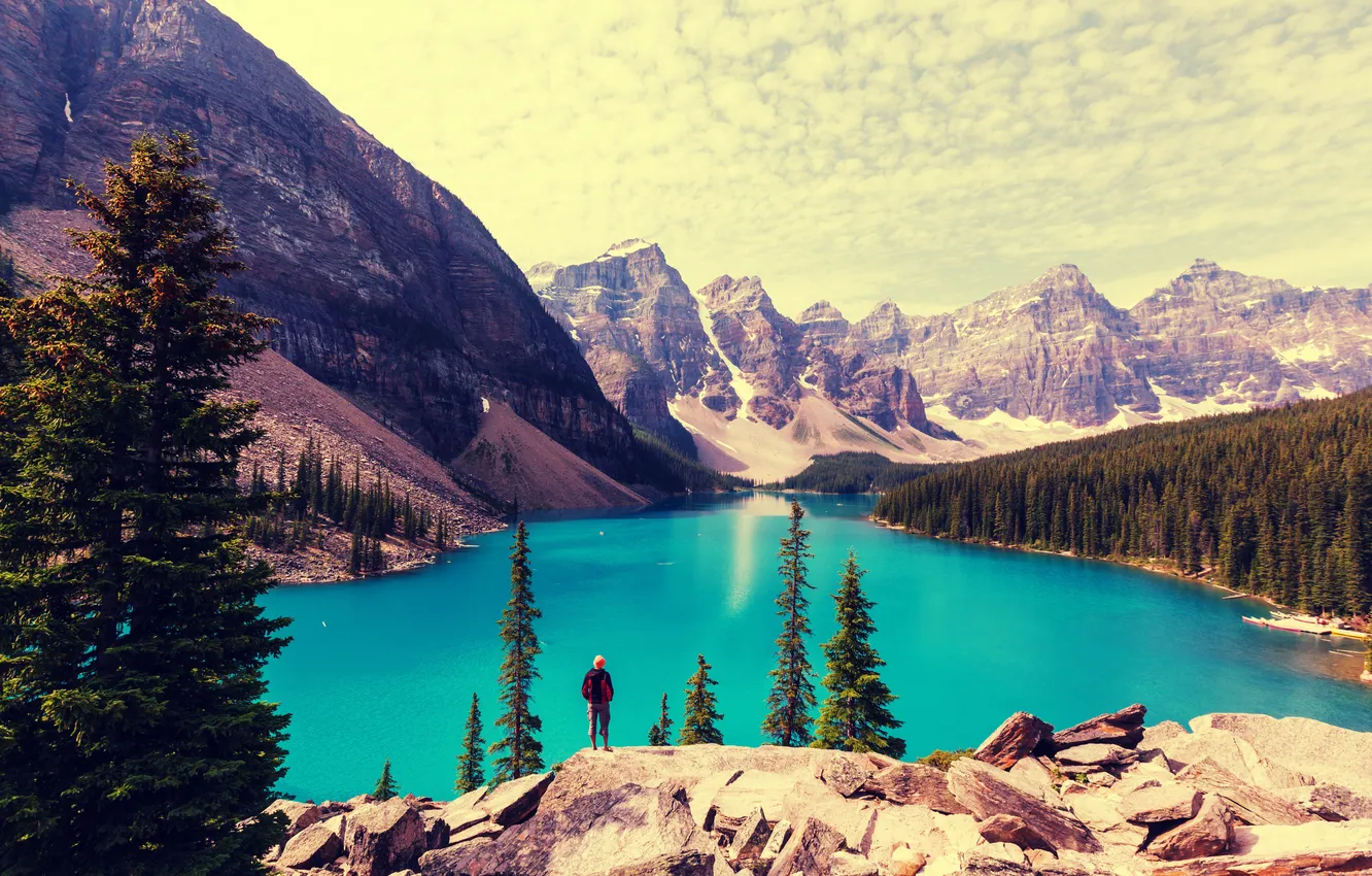 Фото обои лес, озеро, Canada, landscape, lake, Banff National park, Moraine