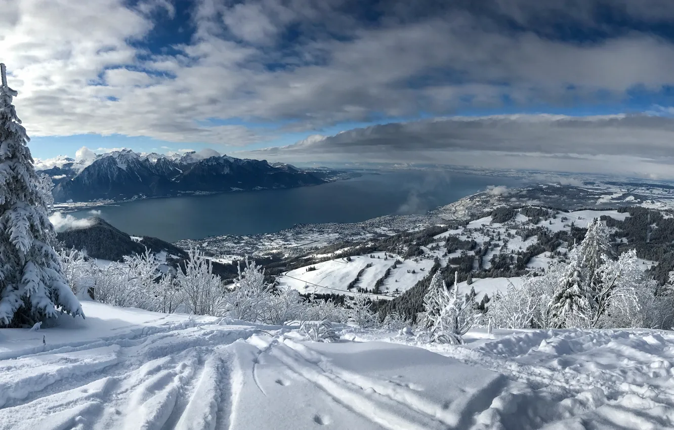 Фото обои зима, снег, деревья, горы, озеро, Швейцария, Альпы, панорама