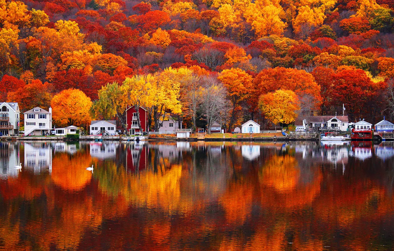 Фото обои осень, листья, деревья, природа, озеро, отражение, краски, дома