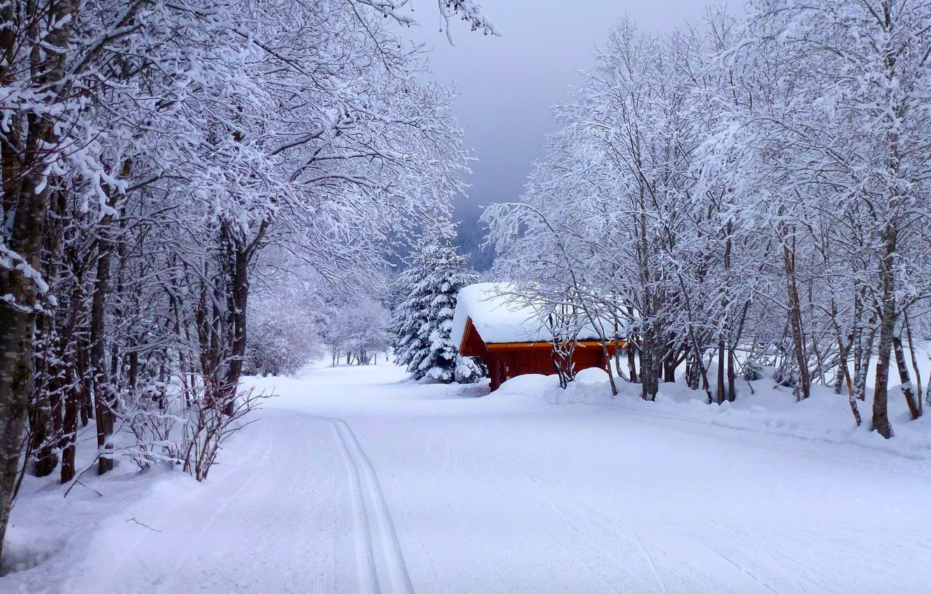 Фото обои зима, дорога, лес, небо, снег, пейзаж, природа, дом