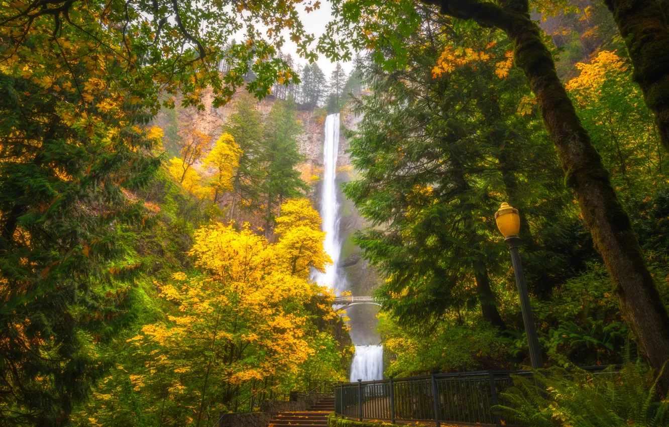 Фото обои осень, деревья, водопад, Орегон, фонарь, Oregon, Columbia River Gorge, Multnomah Falls