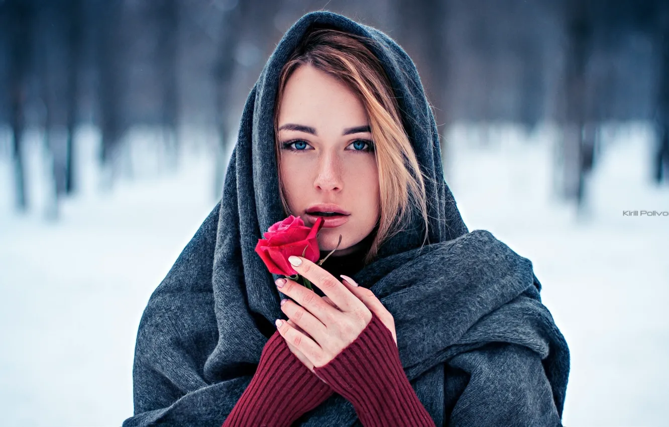 Фото обои взгляд, девушка, снег, деревья, лицо, милая, модель, роза