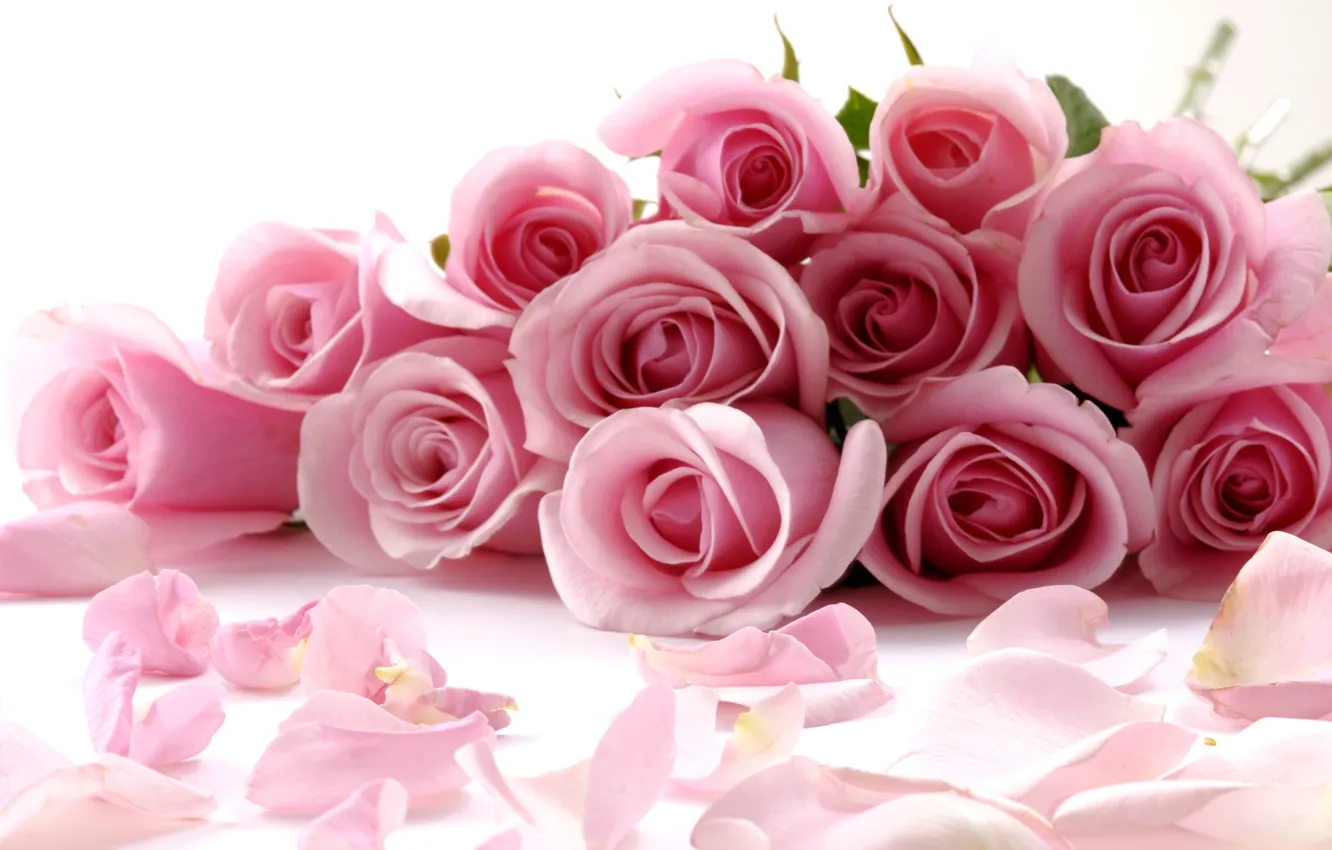 Фото обои Pink, Rose, Romantic