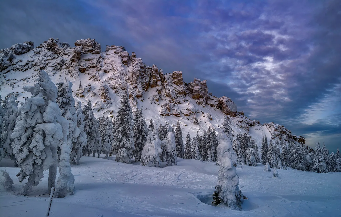 Фото обои зима, снег, деревья, скала, ели, Россия