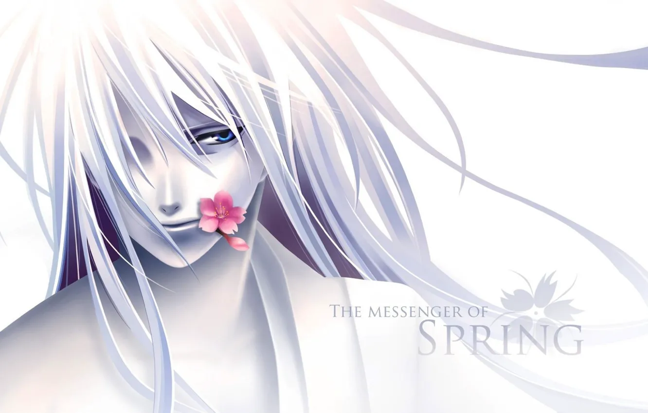 Фото обои аниме, арт, Messenger of Spring
