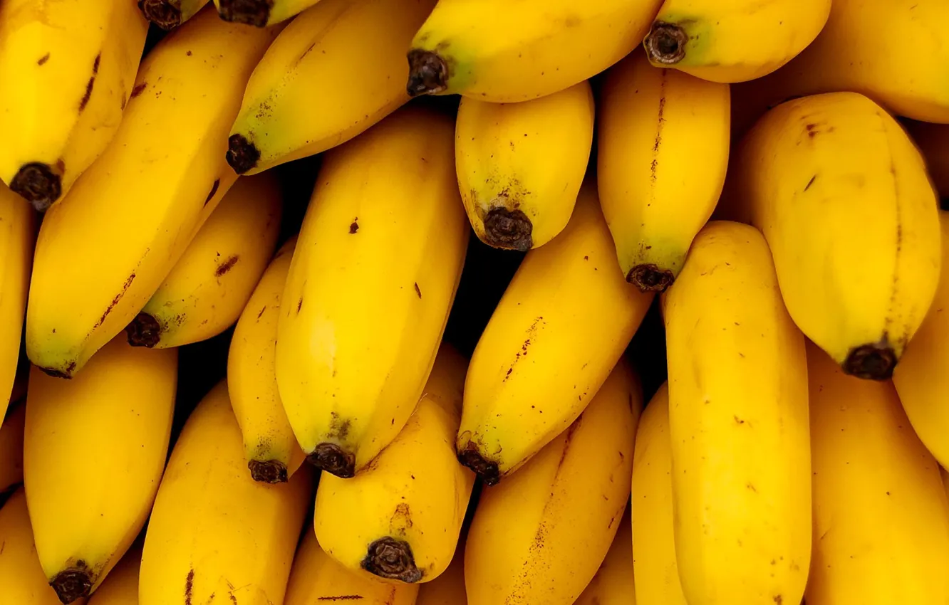 Фото обои желтый, Бананы