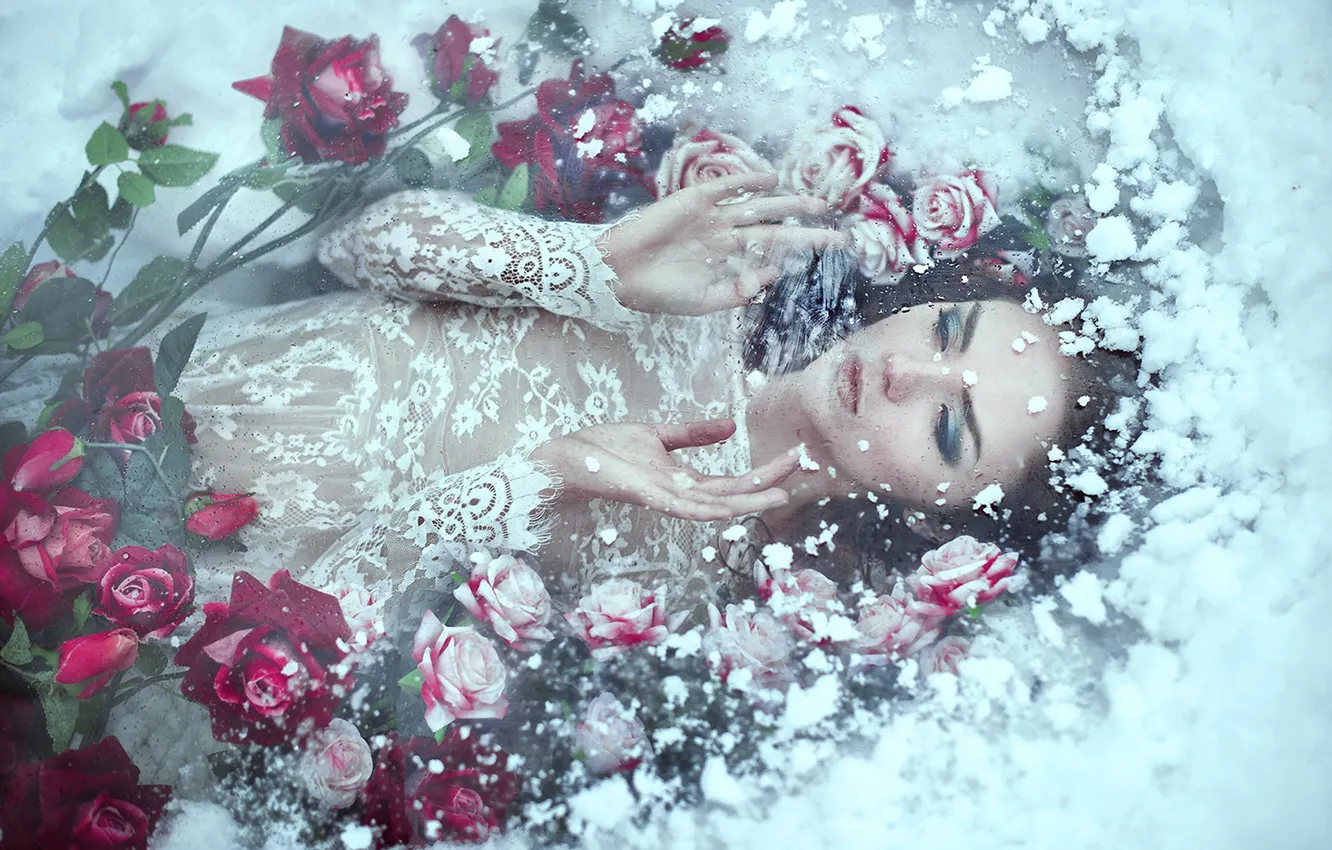 Фото обои холод, лед, зима, девушка, снег, цветы, лицо, поза