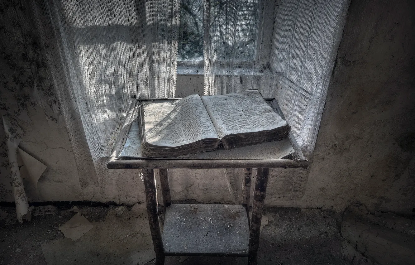 Фото обои комната, окно, книга