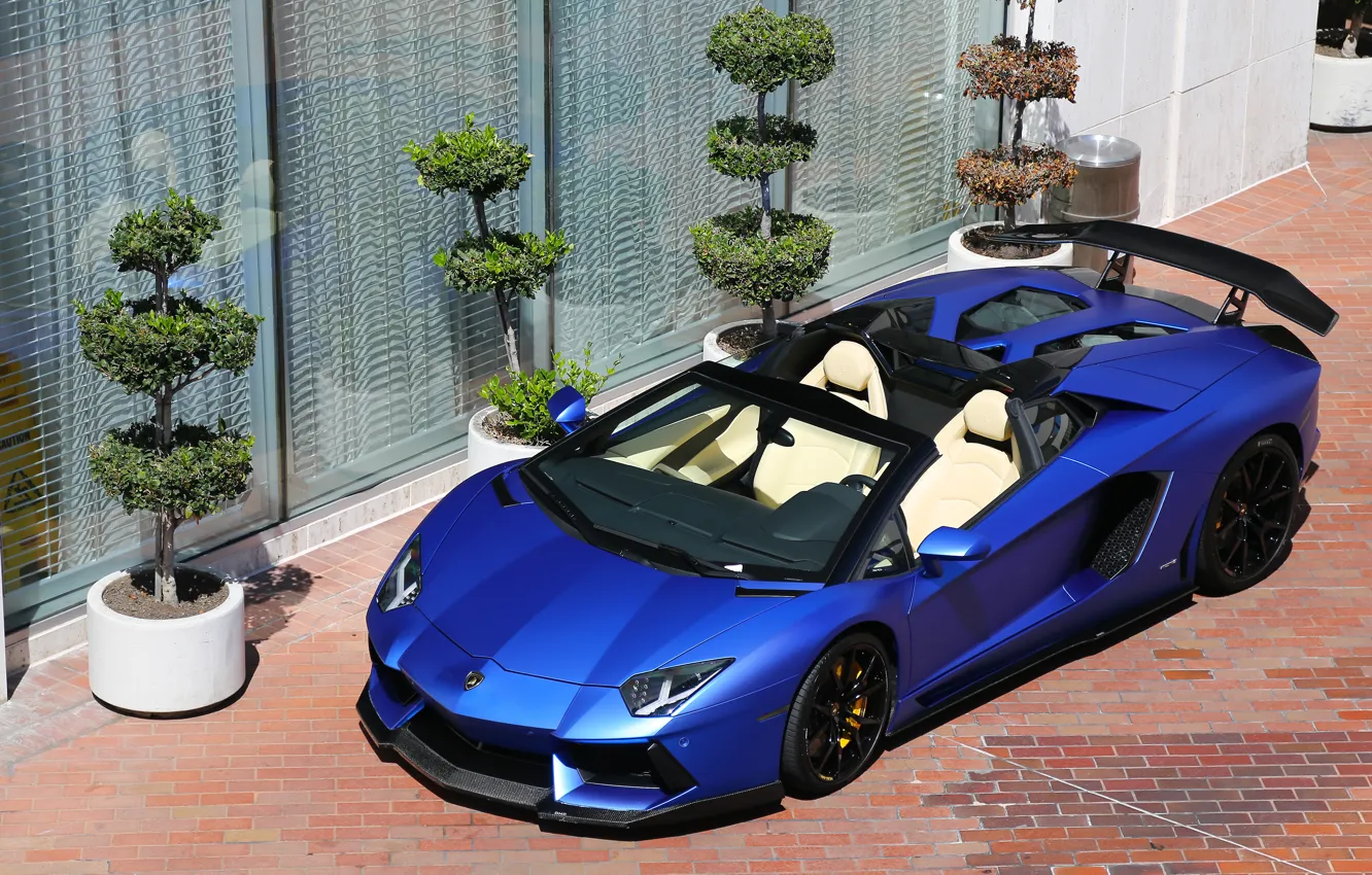 Фото обои Roadster, Lamborghini, LP700-4, Aventador, matte blue