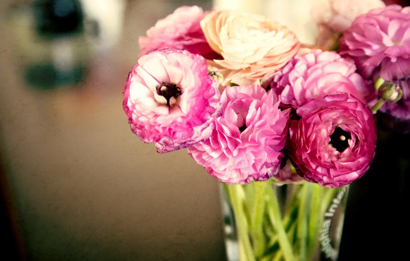 Фото обои листья, цветы, букет, лепестки, ваза, розовые, бутоны, лютики