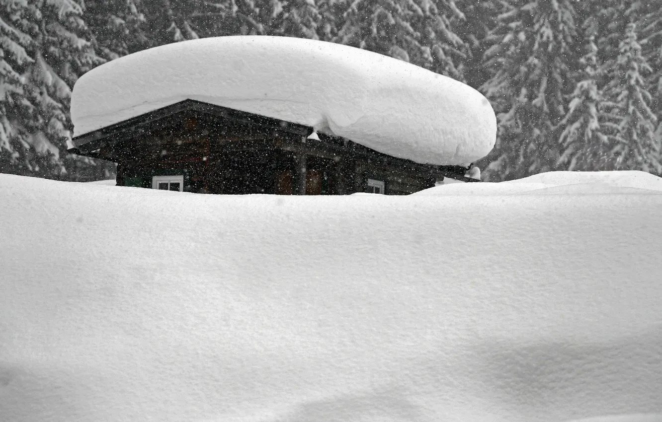 Фото обои Зима, Снег, Winter, Snow, Сугробы, Snow House, Снежный Дом, Деревья в Снегу