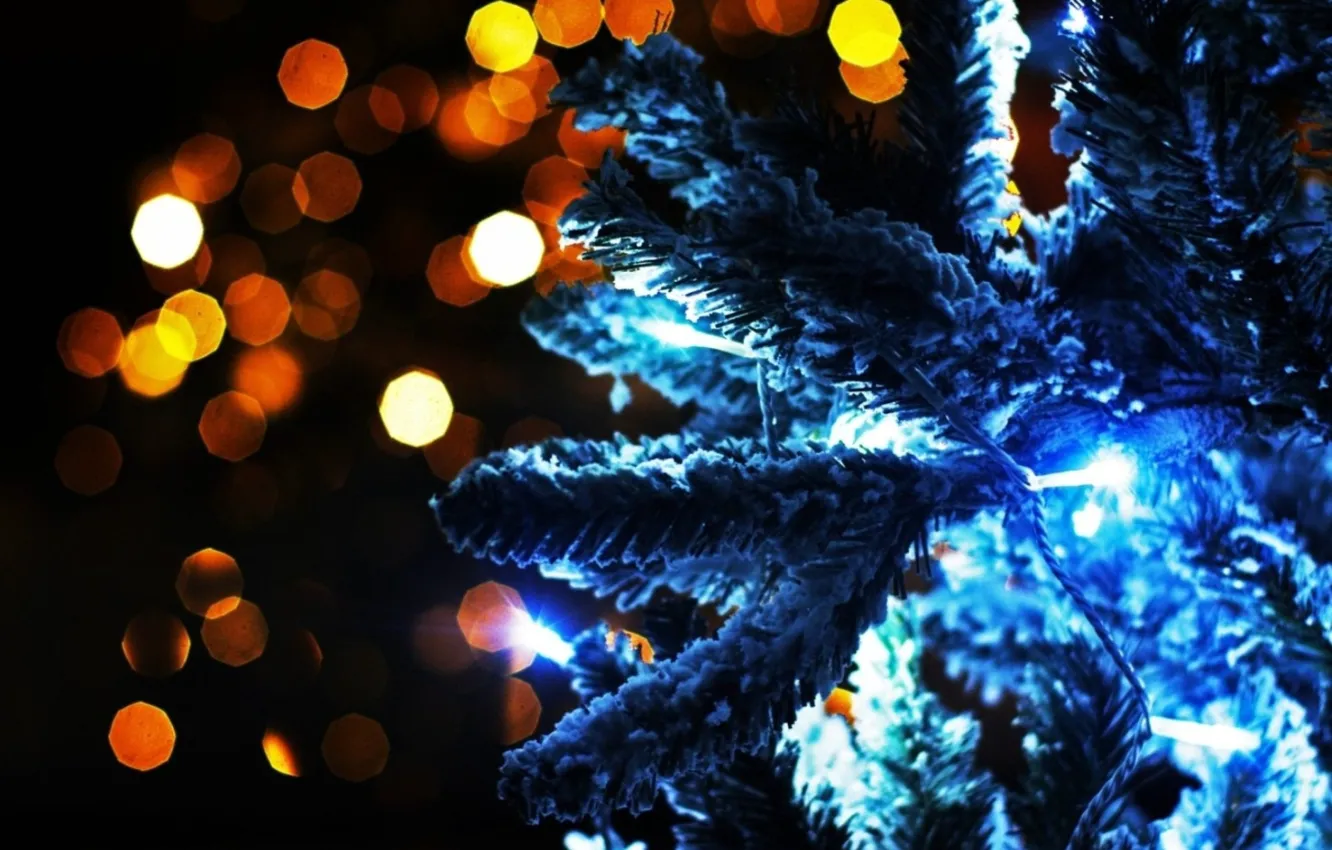 Фото обои огни, фото, настроение, праздник, волшебство, обои, новый год, ёлка