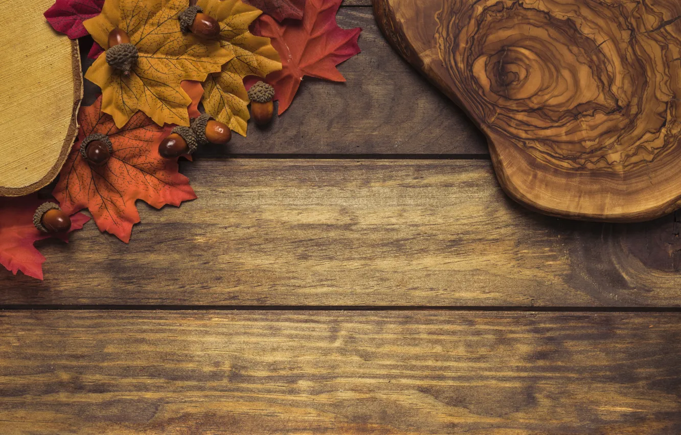 Фото обои осень, листья, фон, дерево, colorful, доска, wood, желуди