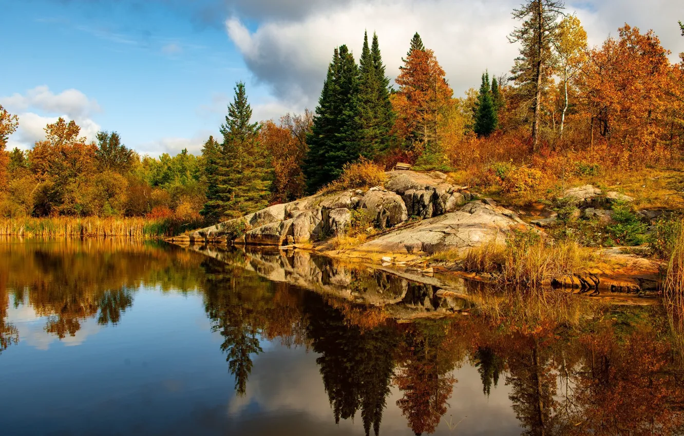 Фото обои осень, лес, деревья, пейзаж, природа, озеро, красота