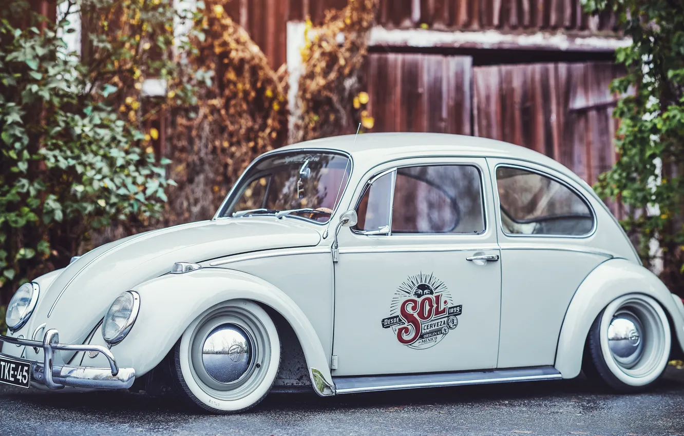 Фото обои Volkswagen, Жук, Beetle, Volkswagen Beetle, Фолькваген