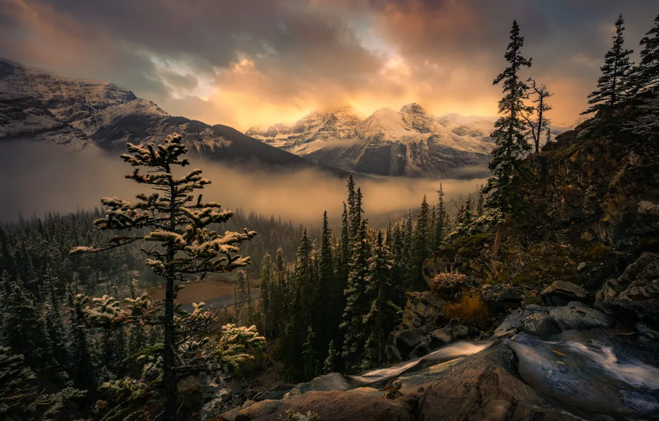 Фото обои зима, лес, небо, облака, снег, горы, туман, камни