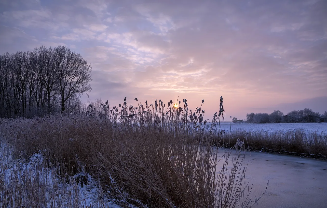 Фото обои зима, закат, река