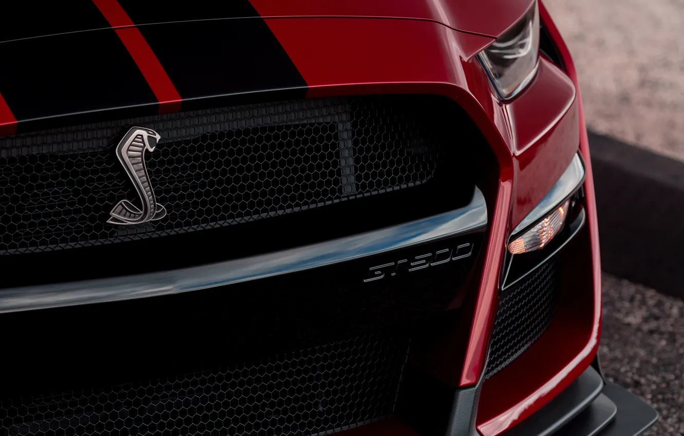 Фото обои Mustang, Ford, Shelby, GT500, эмблема, кровавый, 2019