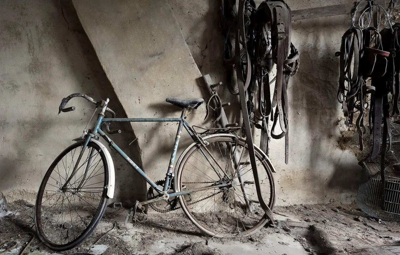 Фото обои велосипед, фон, подвал