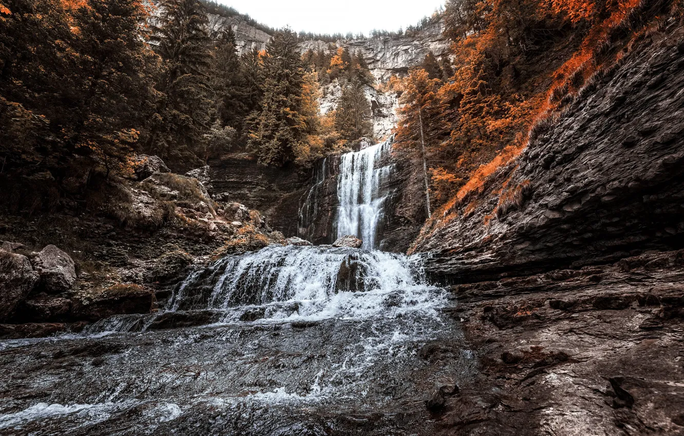 Фото обои осень, лес, камни, скалы, берег, водопад, поток