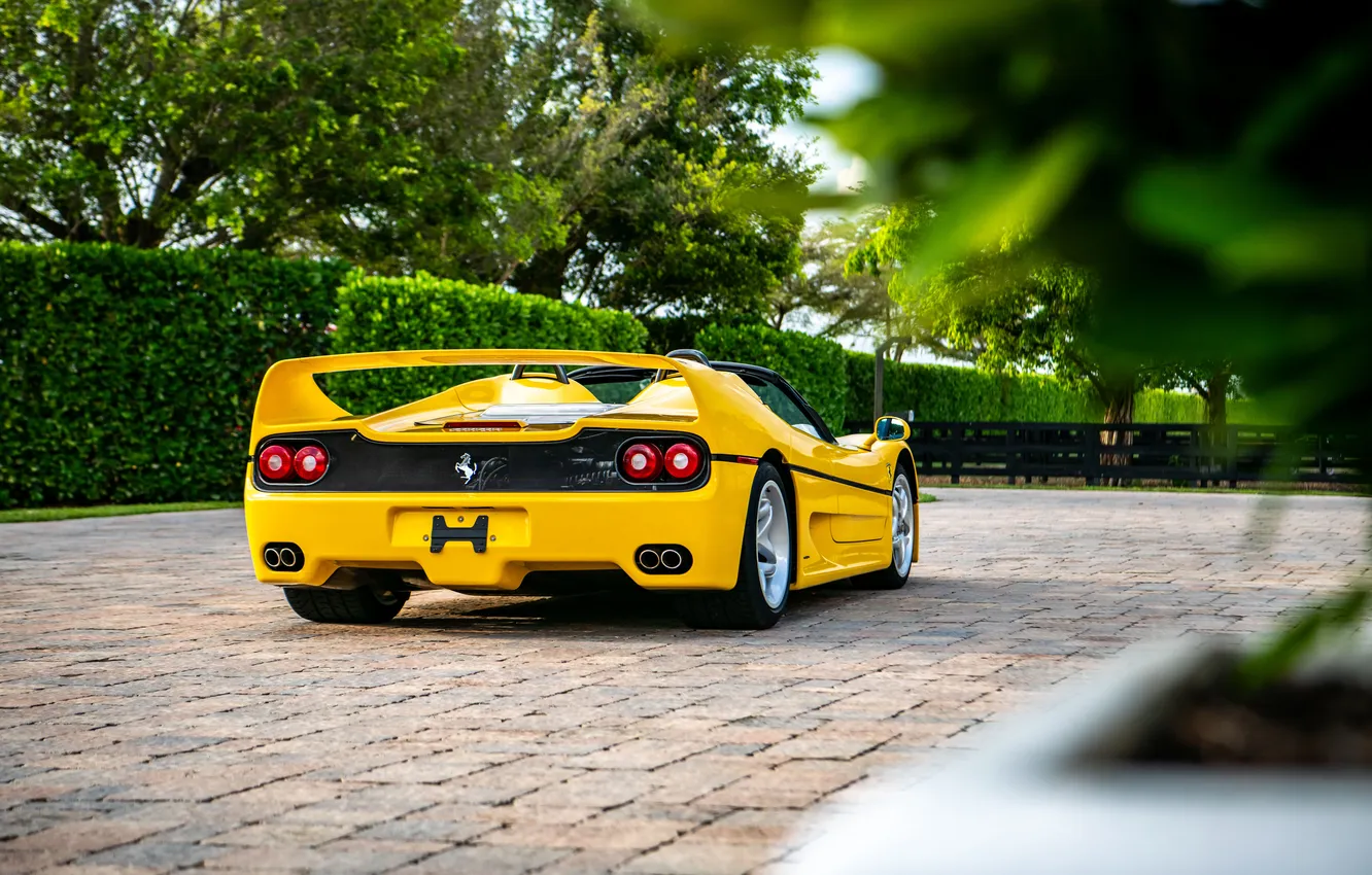 Фото обои Ferrari, спорткар, кабриолет, 1995, F50, Ferrari F50