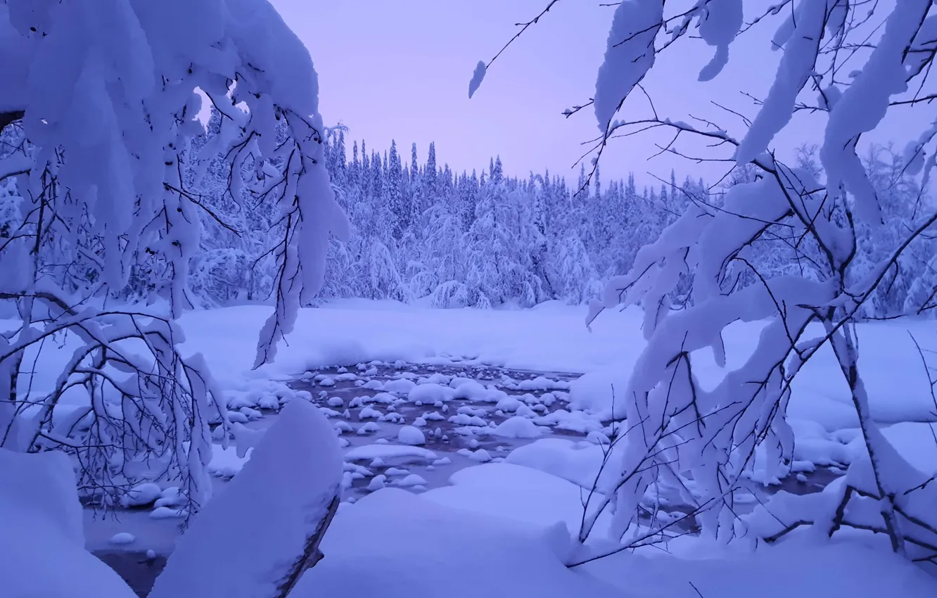 Фото обои зима, лес, снег, деревья, пейзаж, ветки, природа, Финляндия