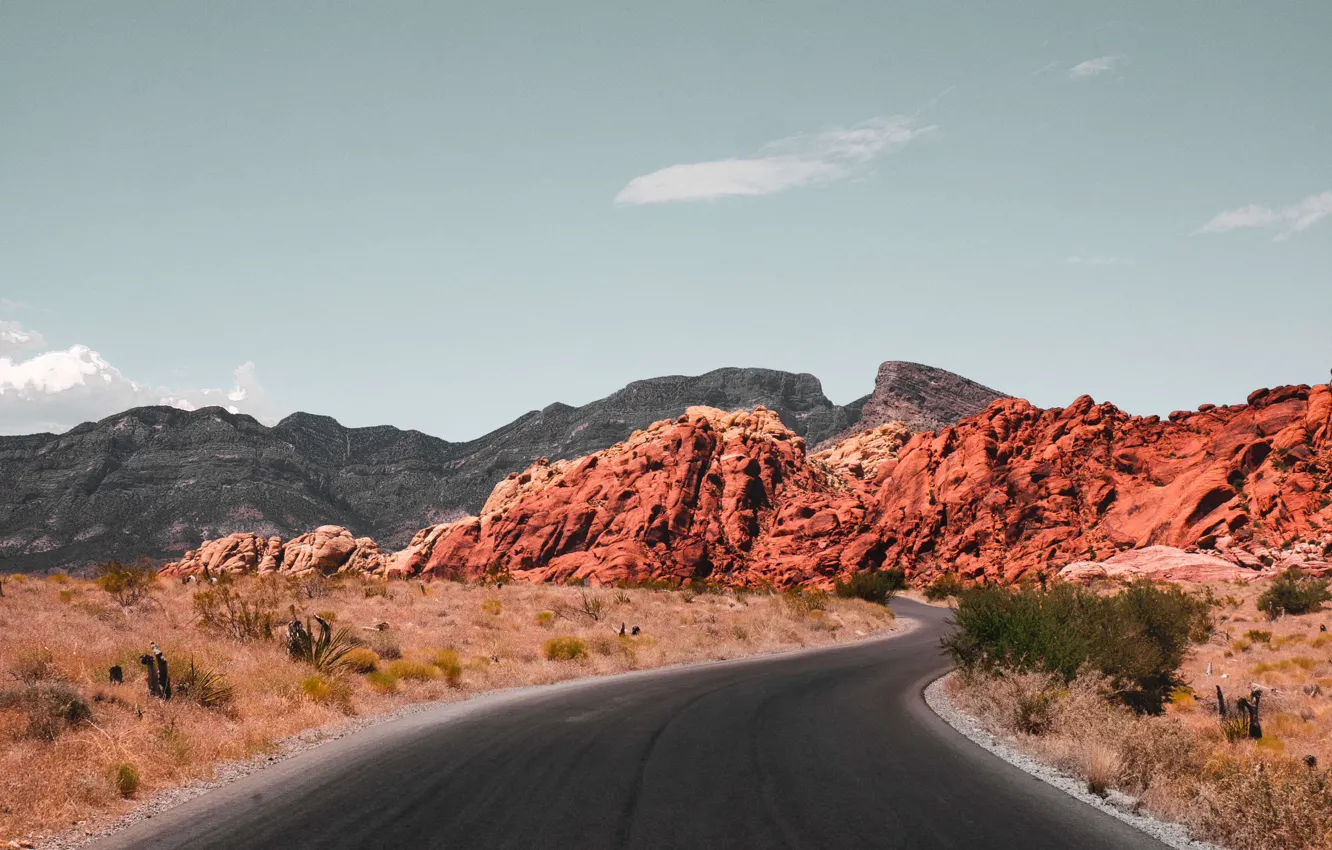 Фото обои дорога, США, Невада, Red Rock Canyon