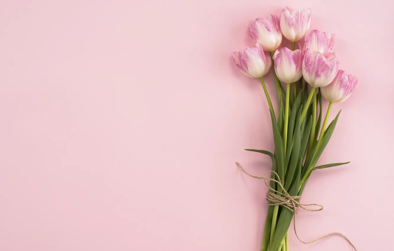 Фото обои цветы, букет, тюльпаны, розовые, fresh, pink, flowers, tulips