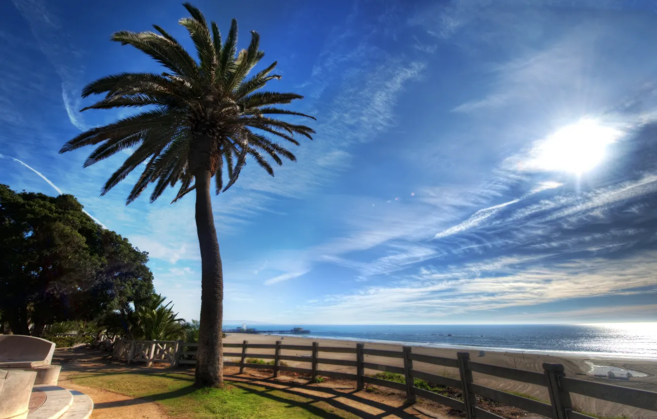 Фото обои море, лето, пальма, побережье, набережная, sea, seaside, palm