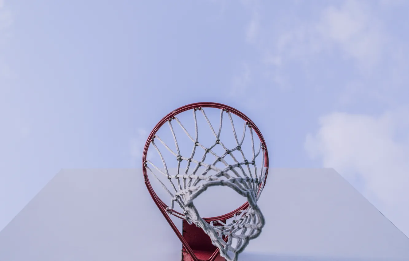 Фото обои сетка, кольцо, щит, баскетбол