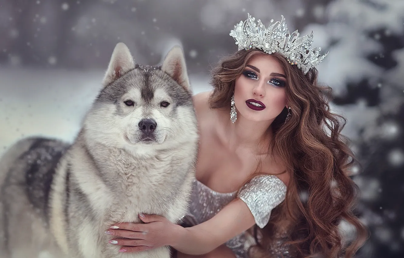 Фото обои взгляд, девушка, снег, поза, рука, собака, корона, макияж