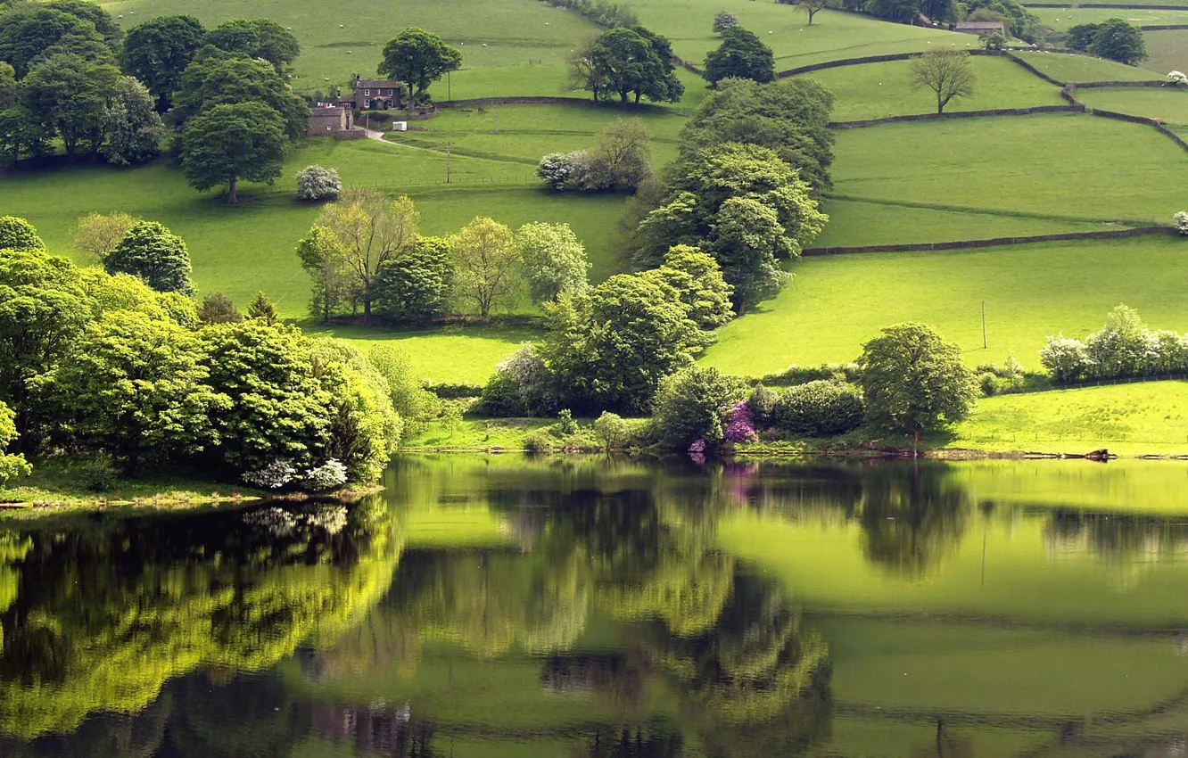 Фото обои зелень, озеро, отражение